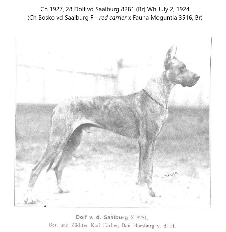 Dolf vd Saalburg